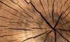 legno stagionato